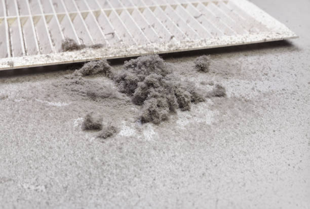 Best Affordable Duct Cleaning Services  in The Pinehills, MA