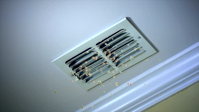 Best Best Air Duct Cleaning Company  in The Pinehills, MA
