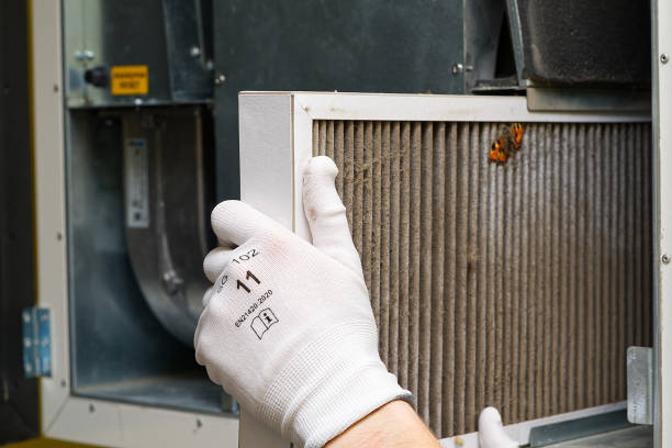 Best Affordable Air Duct Cleaning  in The Pinehills, MA